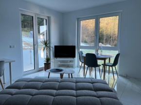 LuxApartment Blauen